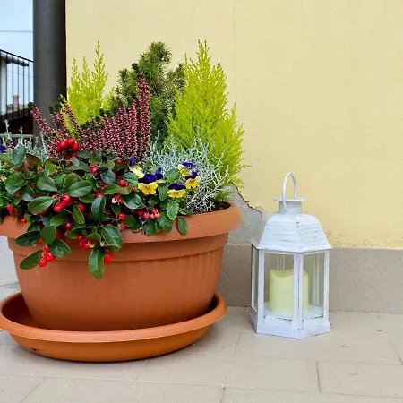 La Casa Di Mamma Gianna - Intera Basaluzzo